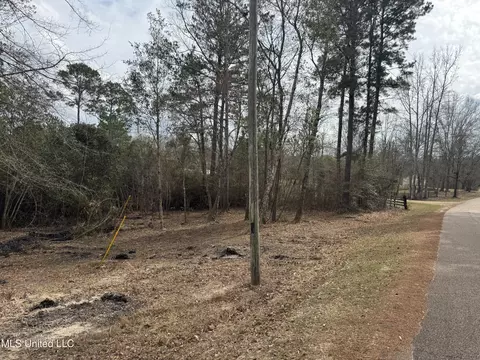 390 Farve Rd, Sumrall, MS 39482 photo 12