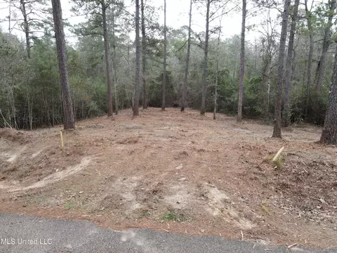 390 Farve Rd, Sumrall, MS 39482 photo 3