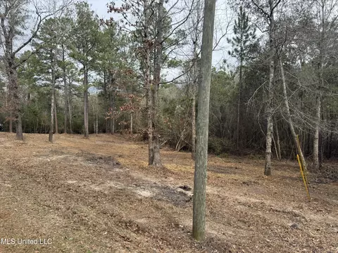 390 Farve Rd, Sumrall, MS 39482 photo 13