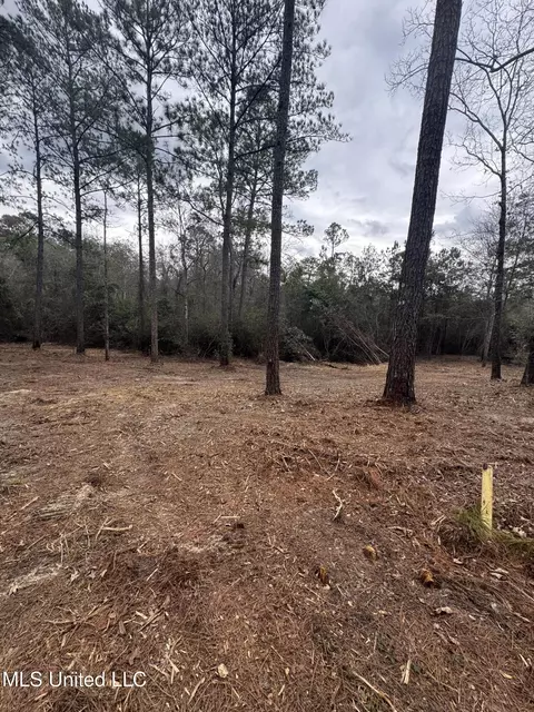 390 Farve Rd, Sumrall, MS 39482 photo 7
