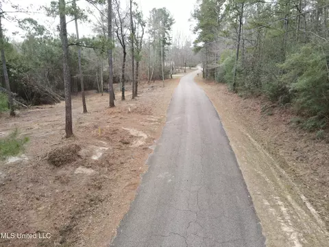 390 Farve Rd, Sumrall, MS 39482 photo 2