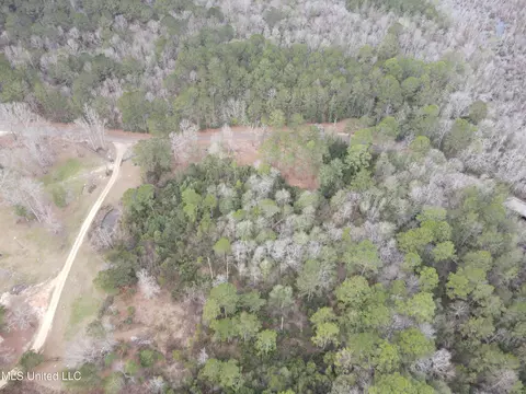 390 Farve Rd, Sumrall, MS 39482 photo 16