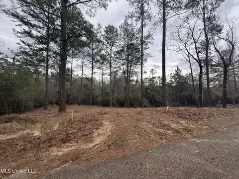 390 Farve Rd, Sumrall, MS 39482 photo 9