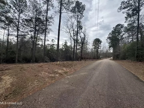 390 Farve Rd, Sumrall, MS 39482 photo 8