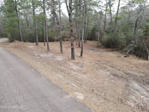 390 Farve Rd, Sumrall, MS 39482 photo 18