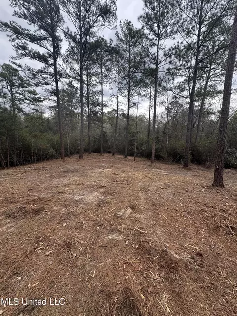 390 Farve Rd, Sumrall, MS 39482 photo 6