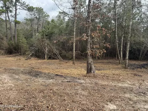 390 Farve Rd, Sumrall, MS 39482 photo 11