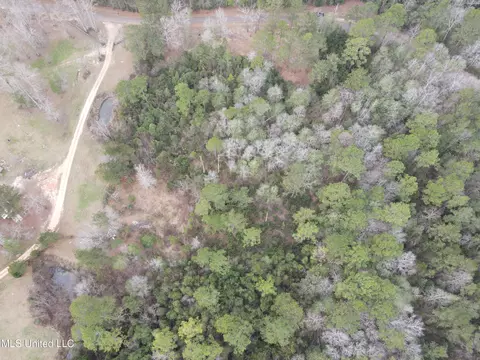 390 Farve Rd, Sumrall, MS 39482 photo 17