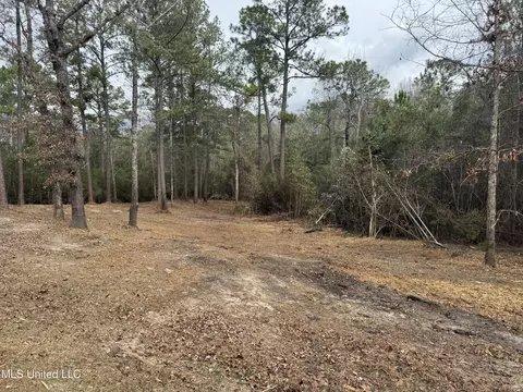 390 Farve Rd, Sumrall, MS 39482 photo 10