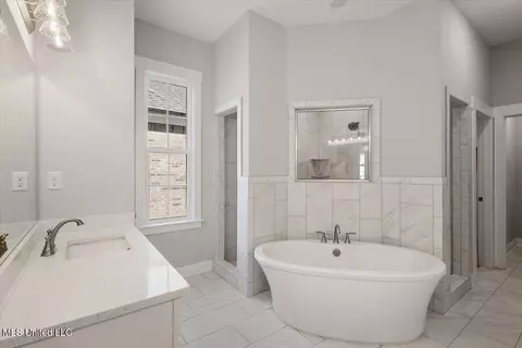 Bath - 617 Sunflower St, Nesbit, MS 38651 photo 2 of 6