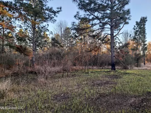 Tannertown Road, Lucedale, MS 39452