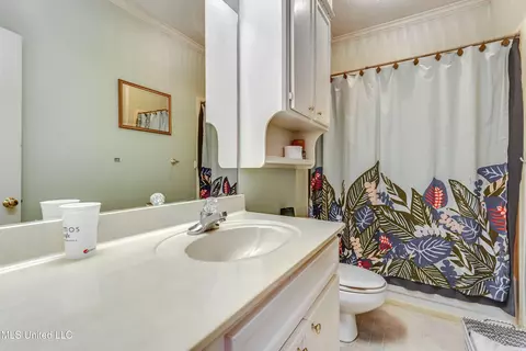 Bath - 610 Old Rice Rd, Madison, MS 39110 photo 3 of 3
