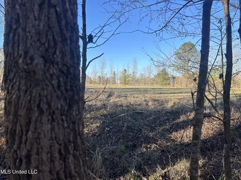 002 Darden Rd, Jackson, MS 39213 photo 7