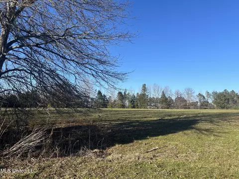 002 Darden Rd, Jackson, MS 39213 photo 3