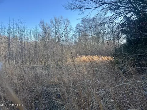 002 Darden Rd, Jackson, MS 39213 photo 20