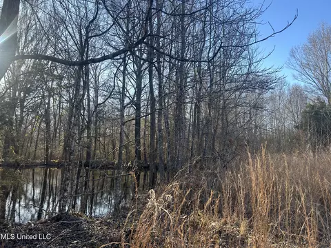 002 Darden Rd, Jackson, MS 39213 photo 15