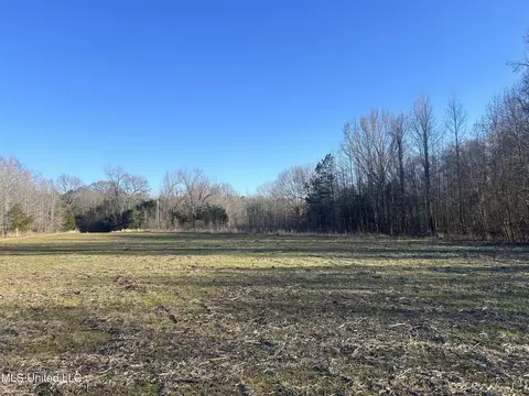 002 Darden Rd, Jackson, MS 39213 photo 5