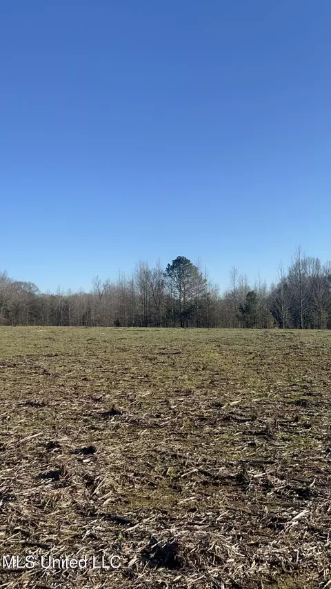 002 Darden Rd, Jackson, MS 39213 photo 33