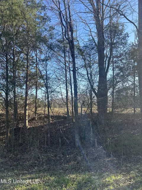 002 Darden Rd, Jackson, MS 39213 photo 27