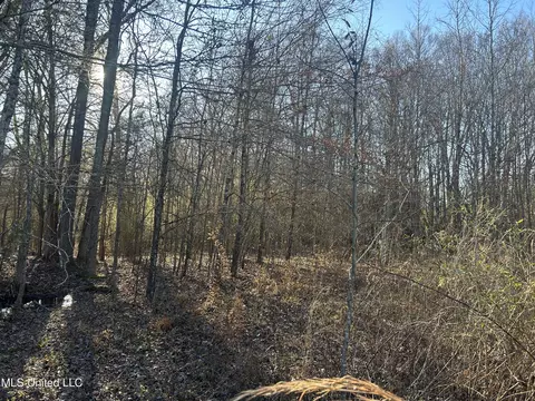 002 Darden Rd, Jackson, MS 39213 photo 26