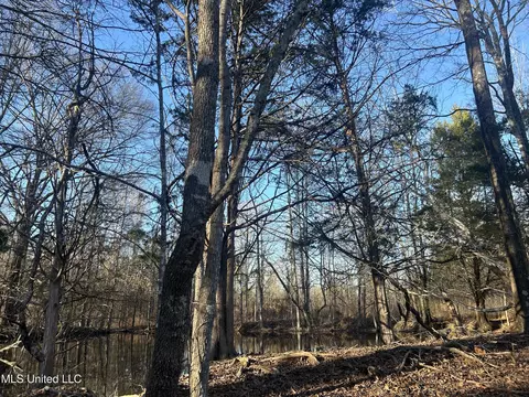 002 Darden Rd, Jackson, MS 39213 photo 14