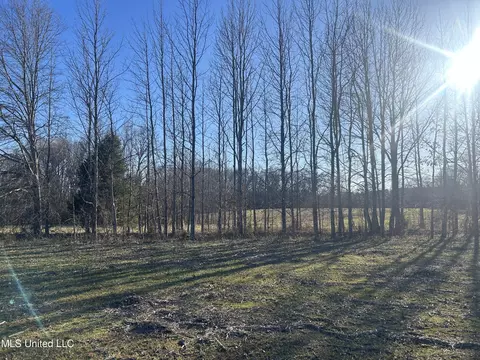 002 Darden Rd, Jackson, MS 39213 photo 8