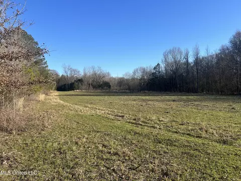 002 Darden Rd, Jackson, MS 39213 photo 9