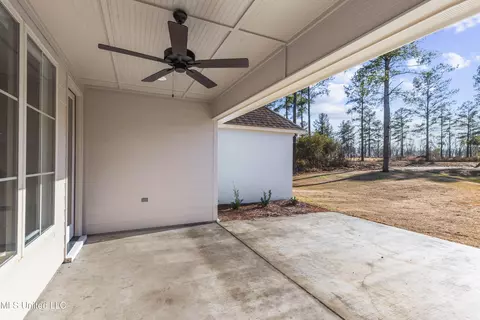 111 Hutto Ln, Madison, MS 39110 photo 27