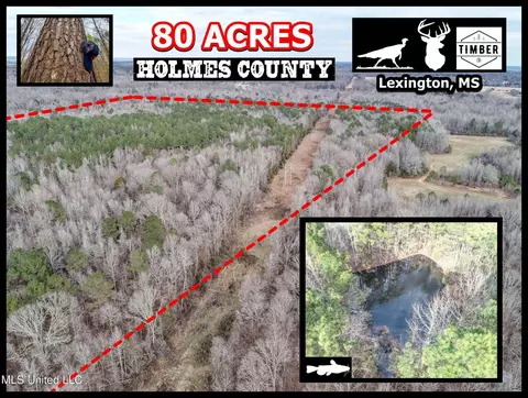 Anderson Road, Lexington, MS 39095