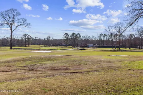 108 Spring Valley Dr, Brandon, MS 39047 photo 38