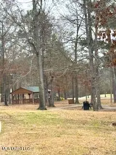 108 Spring Valley Dr, Brandon, MS 39047 photo 49