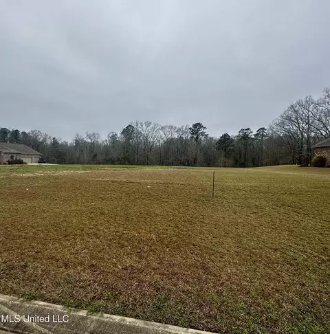 42 Tara Dr, Natchez, MS 39120