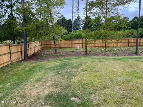 110 Grayson Way #1383, Madison, MS 39110 photo 60