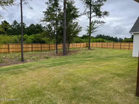 110 Grayson Way #1383, Madison, MS 39110 photo 61