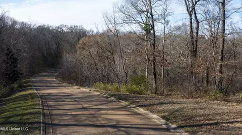 Chestnut Hill Road, Flora, MS 39071 photo 22