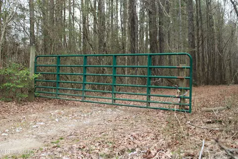 744 Midway Rd, Carthage, MS 39051 photo 6