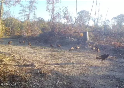 744 Midway Rd, Carthage, MS 39051 photo 4