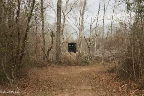 744 Midway Rd, Carthage, MS 39051 photo 11
