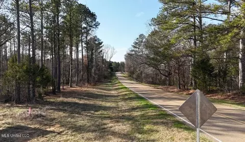 Ratliff Ferry Road, Canton, MS 39046 photo 2