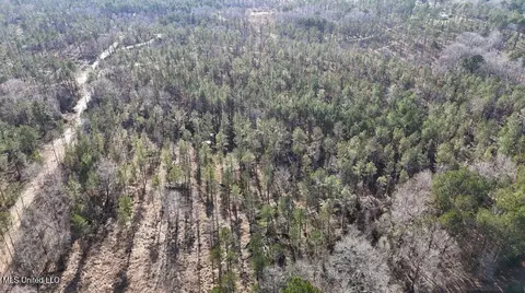 Ratliff Ferry Road, Canton, MS 39046 photo 6