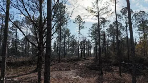 Ratliff Ferry Road, Canton, MS 39046 photo 3