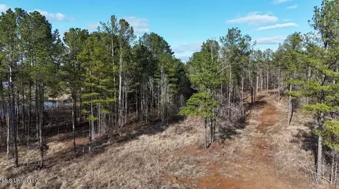 Ratliff Ferry Road, Canton, MS 39046 photo 4