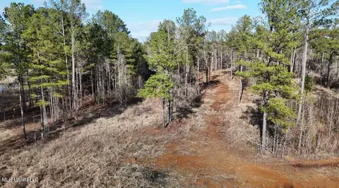 Ratliff Ferry Road, Canton, MS 39046 photo 5