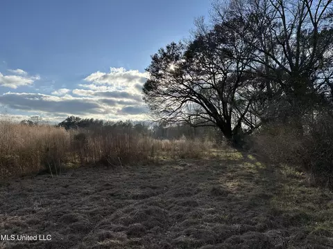 John Amacker Road, Poplarville, MS 39470
