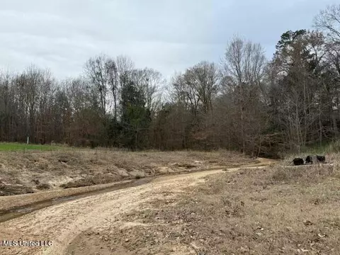 38 Holstead Rd, Natchez, MS 39120 photo 44
