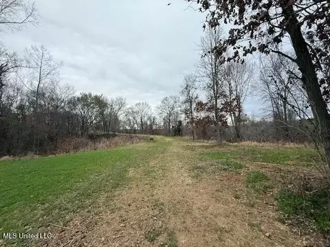 38 Holstead Rd, Natchez, MS 39120 photo 55
