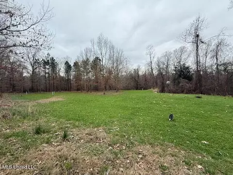 38 Holstead Rd, Natchez, MS 39120 photo 54