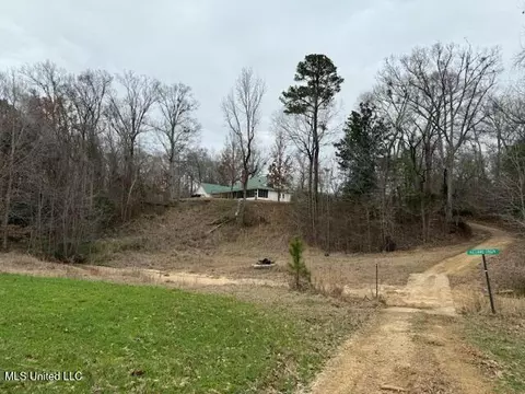 38 Holstead Rd, Natchez, MS 39120 photo 57