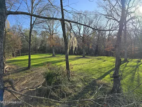 38 Holstead Rd, Natchez, MS 39120 photo 51