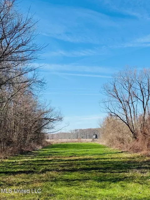 County Road 176, Cruger, MS 38924